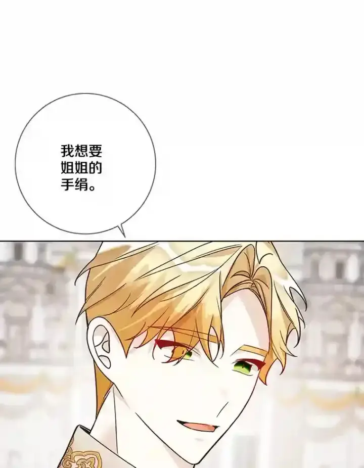 《龙套大公子妃的花路人生》27.手绢图97
