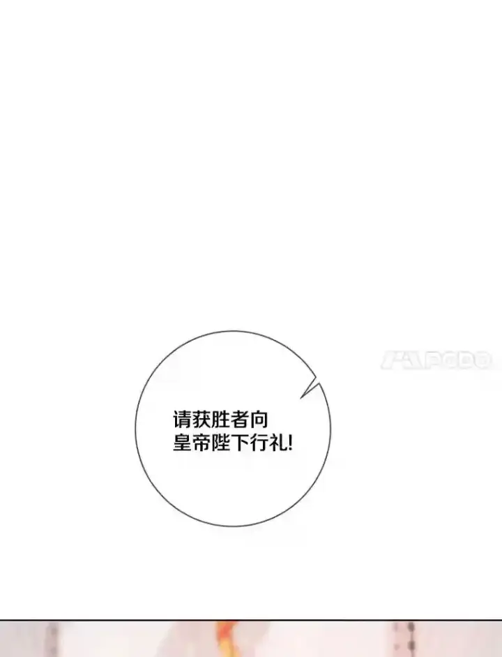 《龙套大公子妃的花路人生》29.决胜局图100