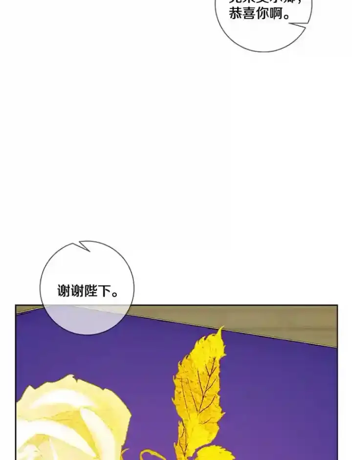 《龙套大公子妃的花路人生》29.决胜局图102