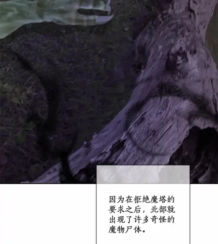 《龙套大公子妃的花路人生》31.蛋糕店的偶遇图73