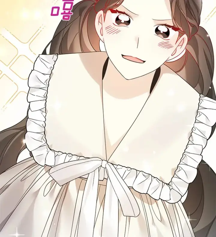 《龙套大公子妃的花路人生》32.茶话会图24