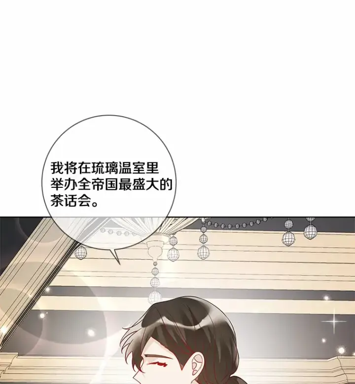 《龙套大公子妃的花路人生》32.茶话会图40