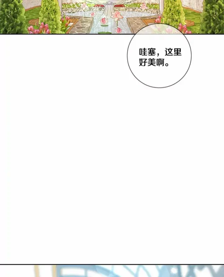 《龙套大公子妃的花路人生》32.茶话会图49