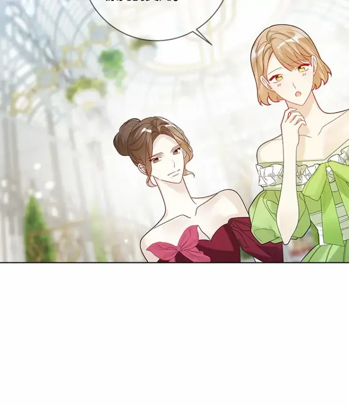 《龙套大公子妃的花路人生》32.茶话会图64