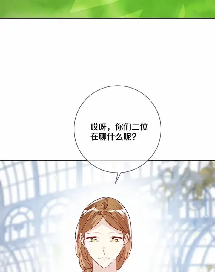 《龙套大公子妃的花路人生》32.茶话会图88