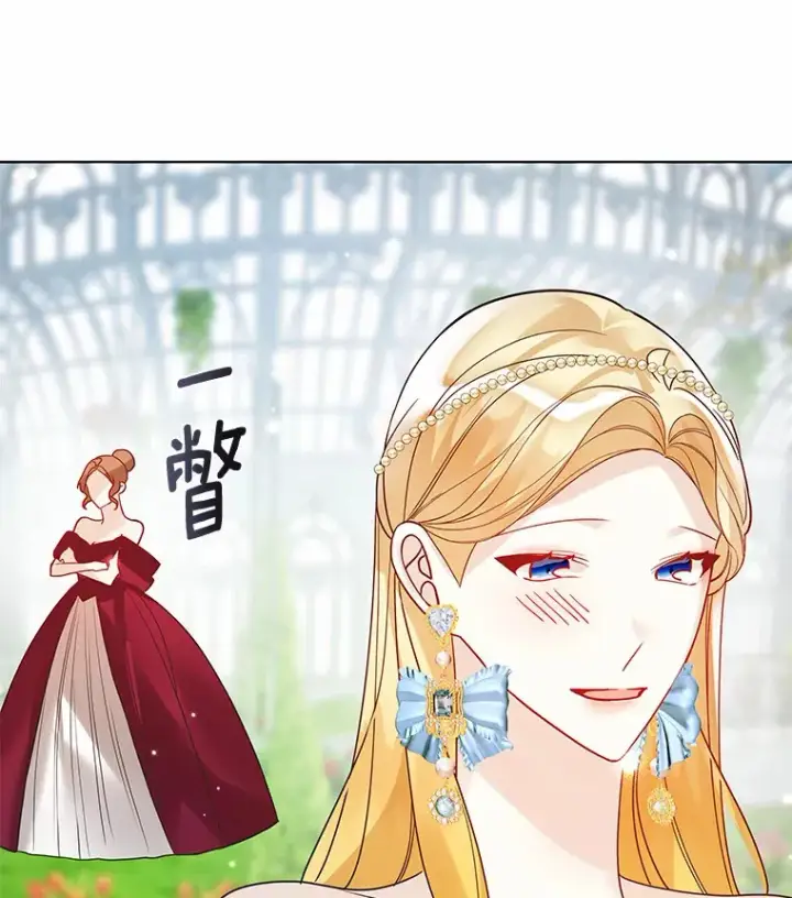 《龙套大公子妃的花路人生》32.茶话会图96