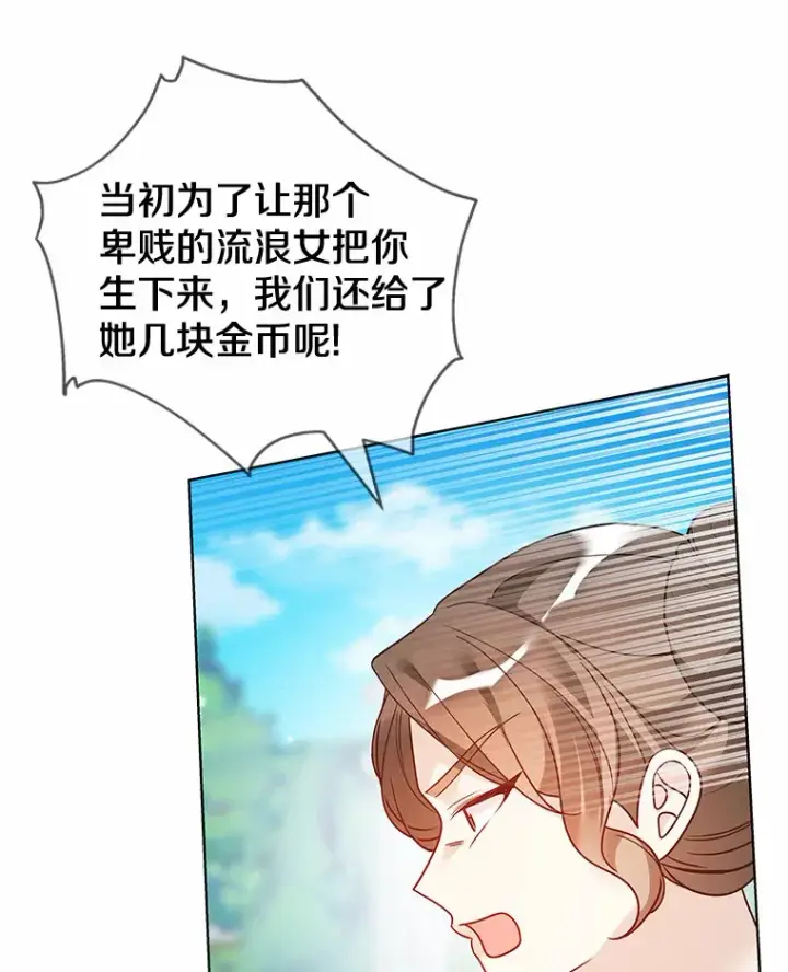 《龙套大公子妃的花路人生》33.有其母必有其女图34