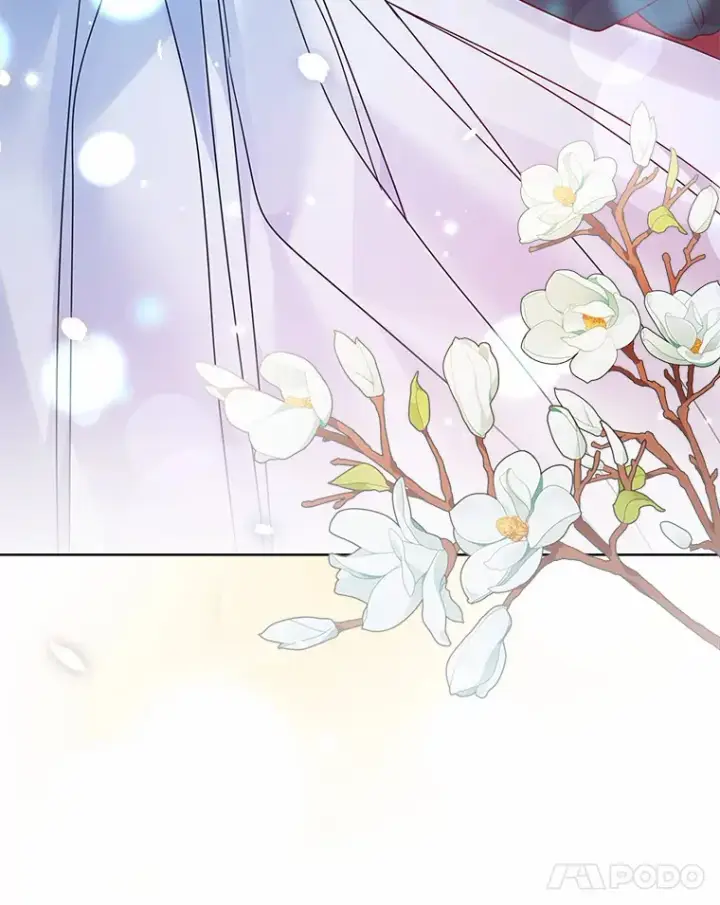 《龙套大公子妃的花路人生》35.甜蜜日常图37