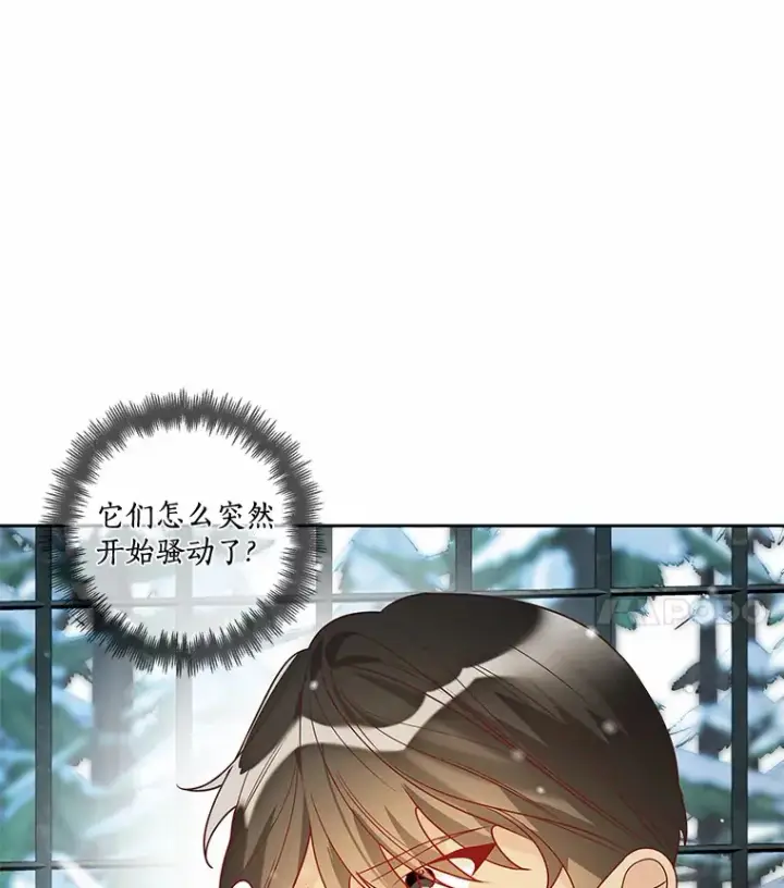 《龙套大公子妃的花路人生》36.被绑架图111