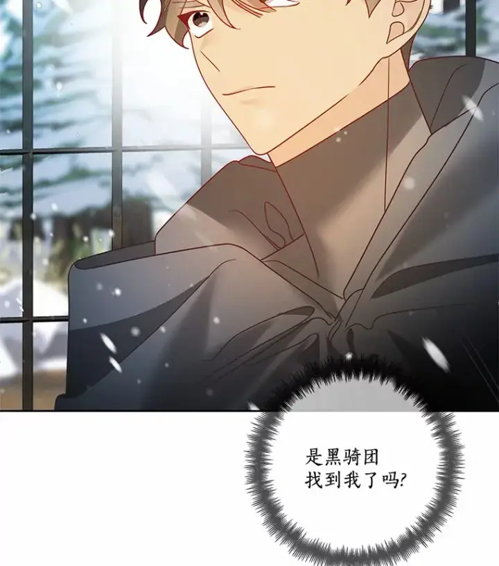 《龙套大公子妃的花路人生》36.被绑架图112
