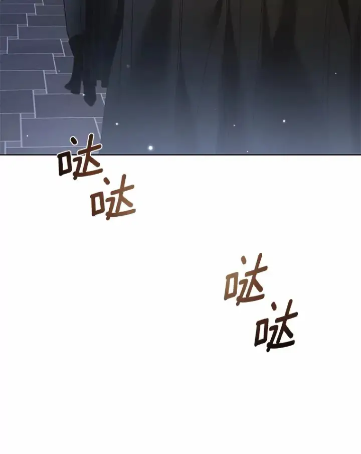 《龙套大公子妃的花路人生》36.被绑架图15