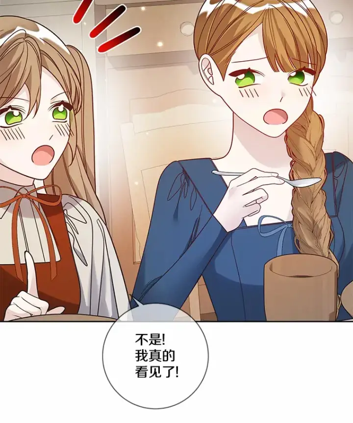《龙套大公子妃的花路人生》36.被绑架图33
