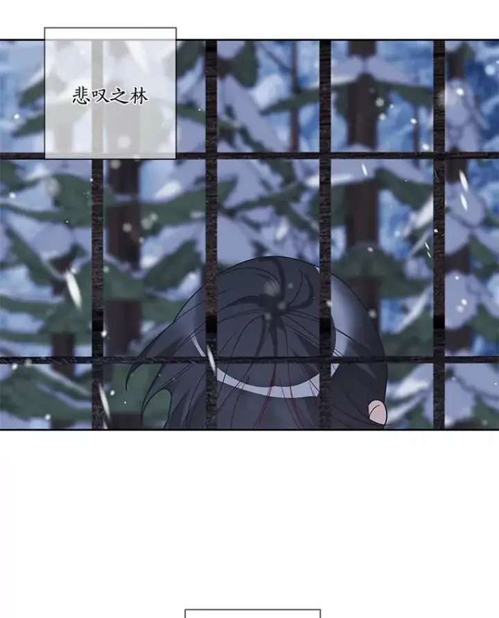 《龙套大公子妃的花路人生》36.被绑架图53