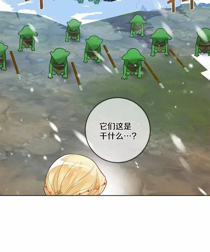 《龙套大公子妃的花路人生》37.魔物之王图17