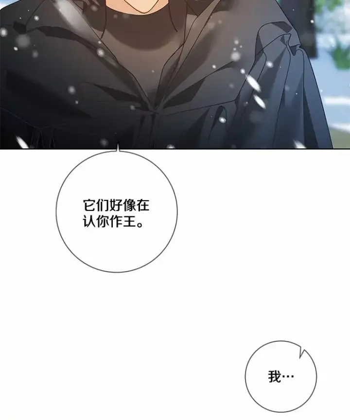 《龙套大公子妃的花路人生》37.魔物之王图19