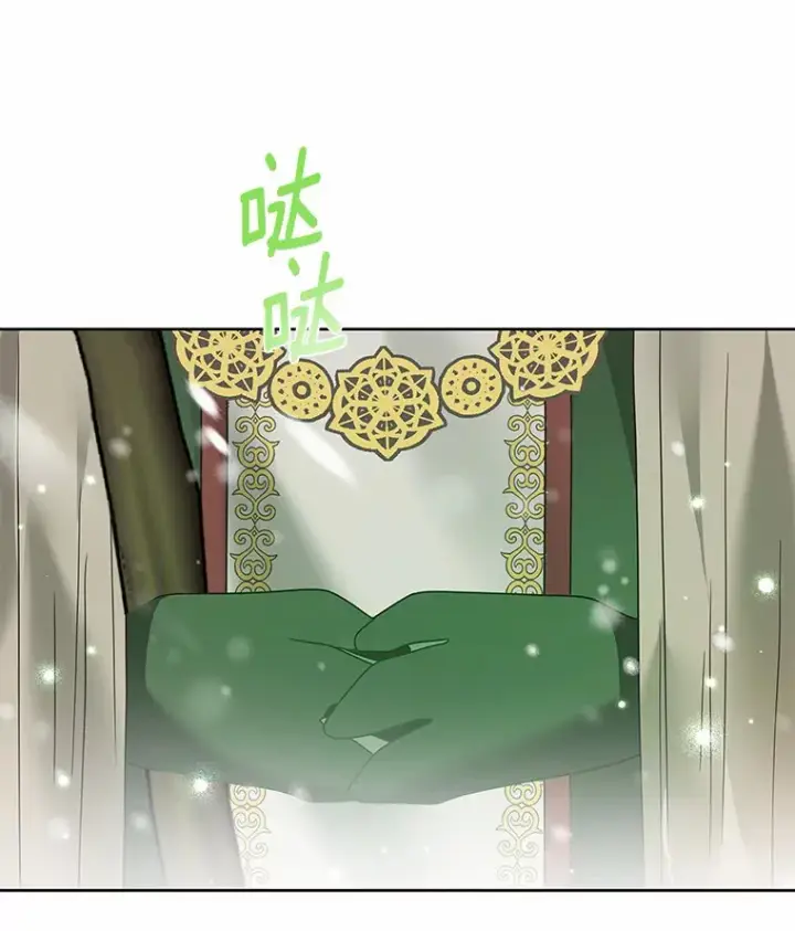 《龙套大公子妃的花路人生》37.魔物之王图25