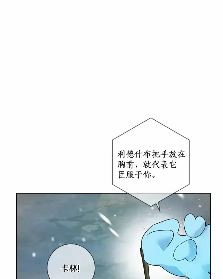 《龙套大公子妃的花路人生》37.魔物之王图30