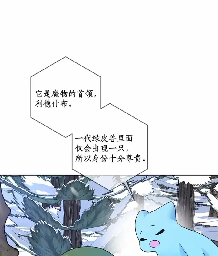 《龙套大公子妃的花路人生》37.魔物之王图32