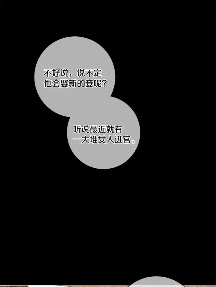 《龙套大公子妃的花路人生》38.同意继位图59