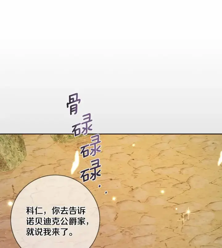 《龙套大公子妃的花路人生》40.迎春庆典图120