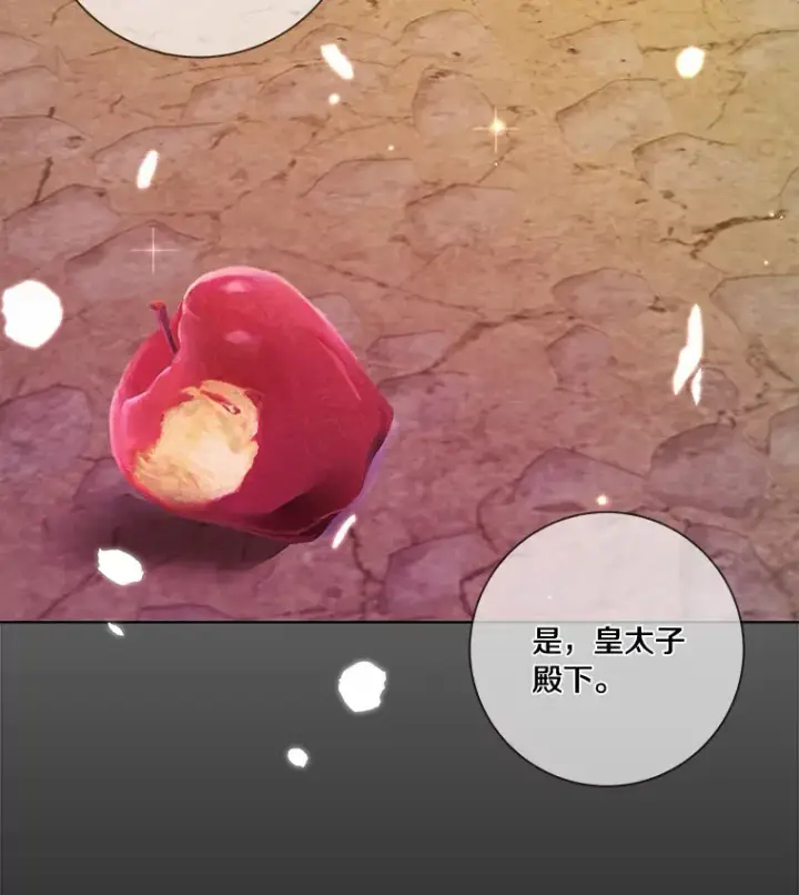 《龙套大公子妃的花路人生》40.迎春庆典图121