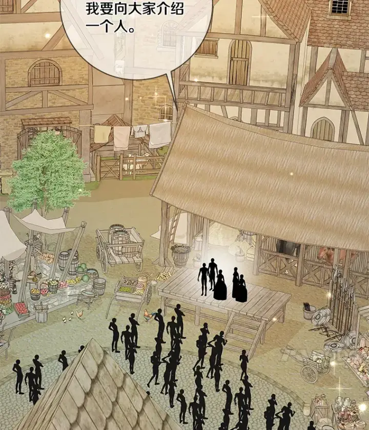 《龙套大公子妃的花路人生》40.迎春庆典图76