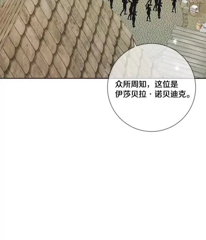 《龙套大公子妃的花路人生》40.迎春庆典图77