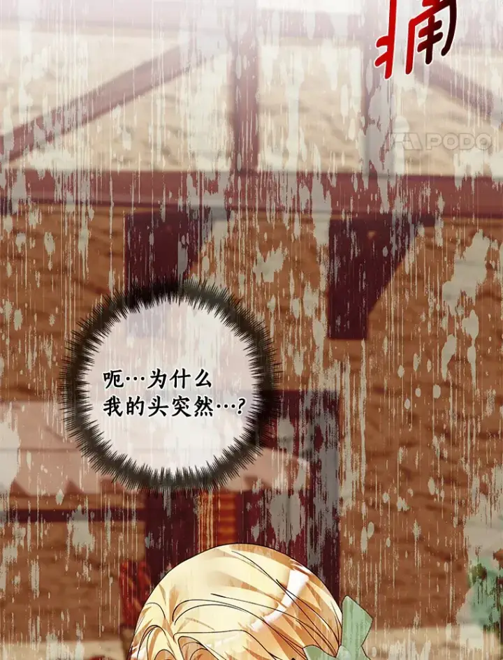 《龙套大公子妃的花路人生》41.占卜图115