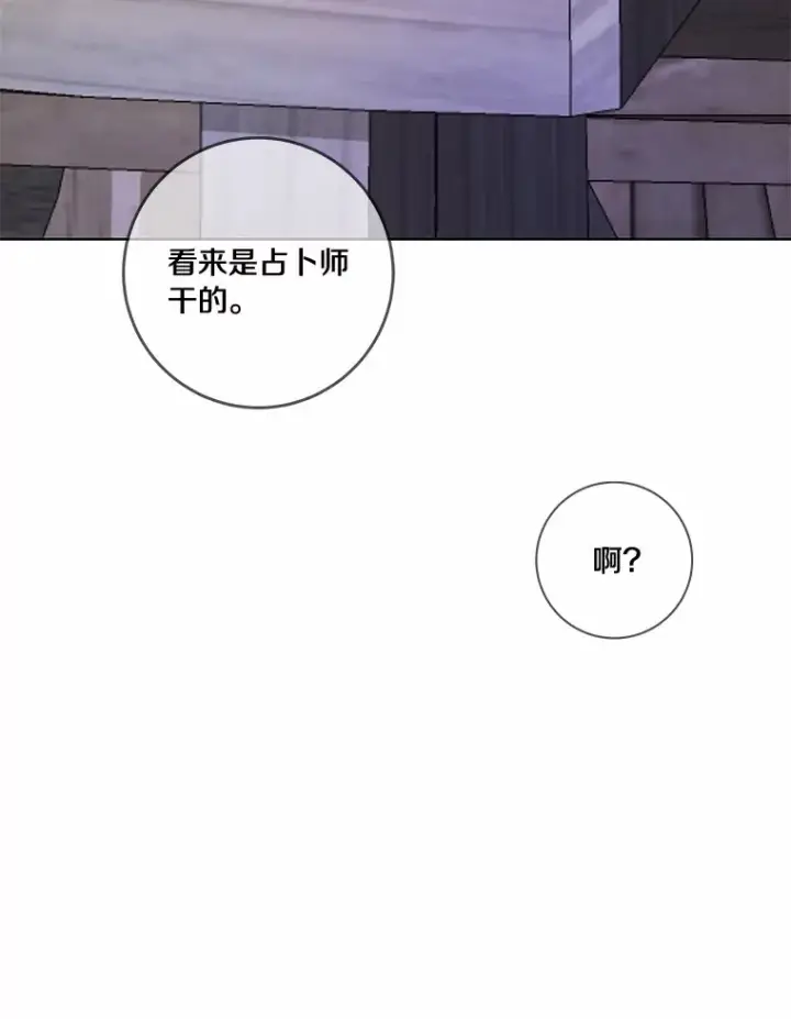 《龙套大公子妃的花路人生》41.占卜图129