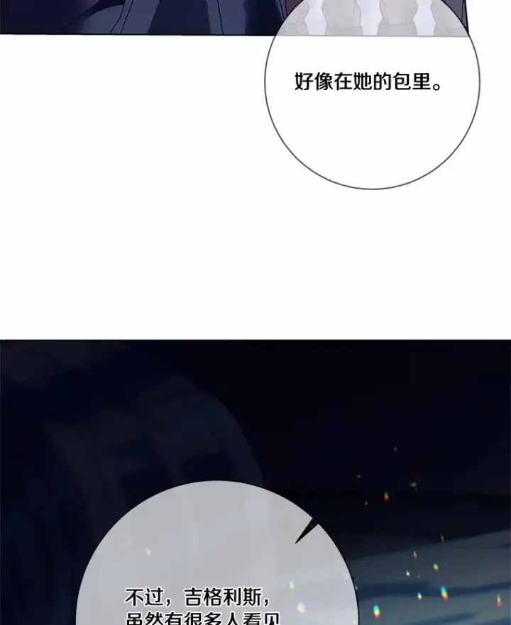 《龙套大公子妃的花路人生》42.绑架图12