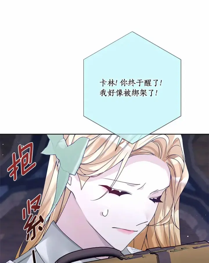 《龙套大公子妃的花路人生》42.绑架图25