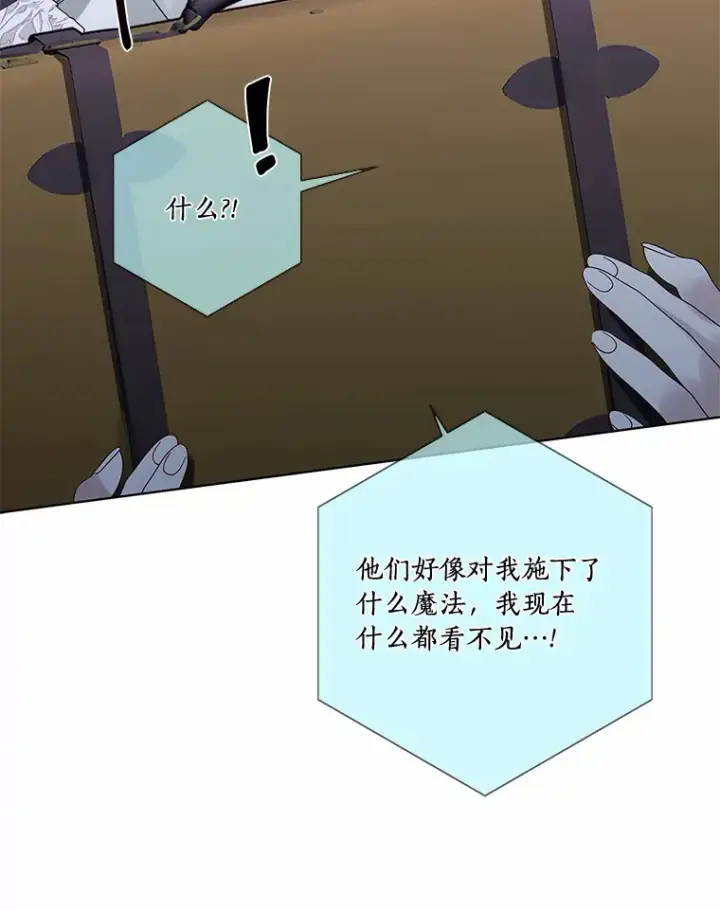《龙套大公子妃的花路人生》42.绑架图26