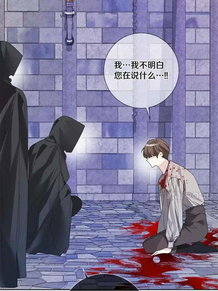 《龙套大公子妃的花路人生》42.绑架图87