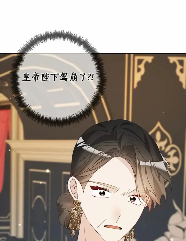 《龙套大公子妃的花路人生》43.皇帝驾崩图101