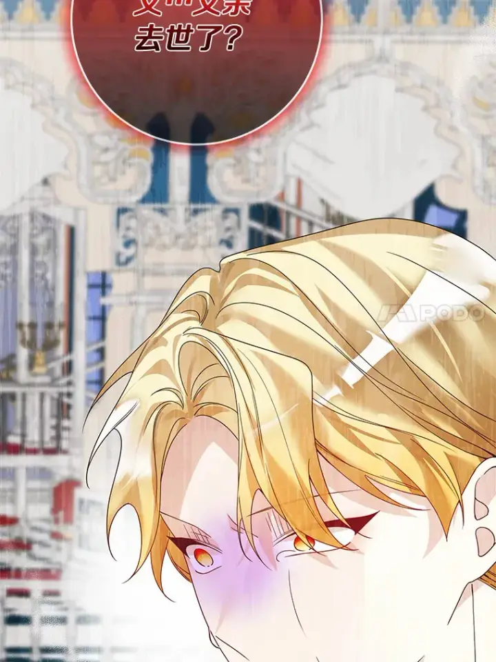 《龙套大公子妃的花路人生》43.皇帝驾崩图110