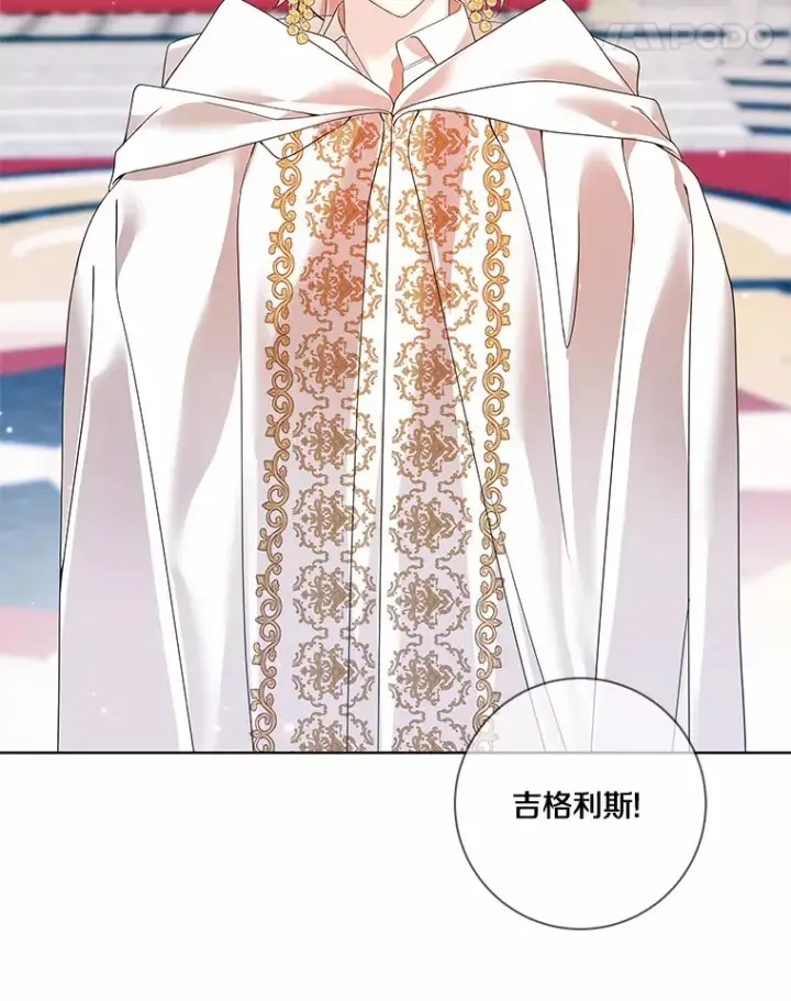 《龙套大公子妃的花路人生》43.皇帝驾崩图117