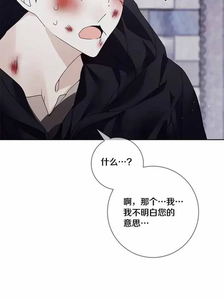 《龙套大公子妃的花路人生》43.皇帝驾崩图12