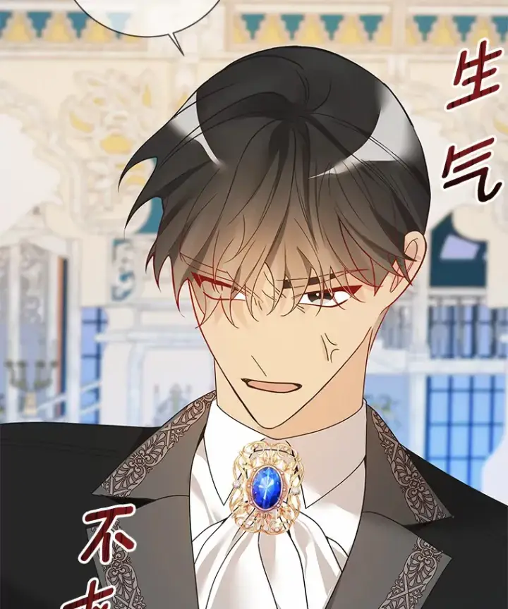《龙套大公子妃的花路人生》43.皇帝驾崩图132