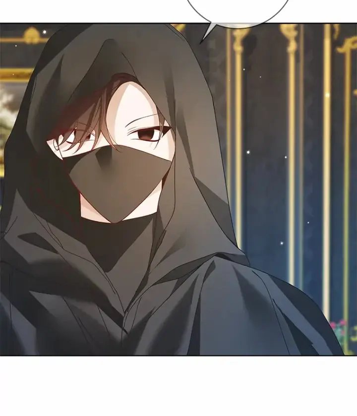《龙套大公子妃的花路人生》45.魔力石图108