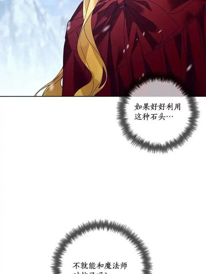 《龙套大公子妃的花路人生》45.魔力石图23