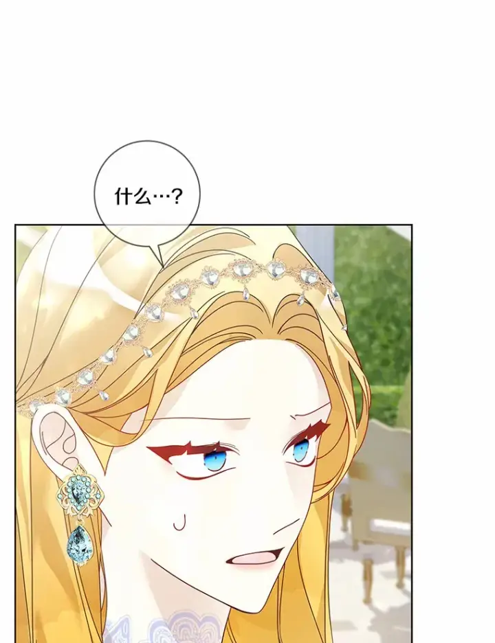 《龙套大公子妃的花路人生》55.参加茶话会图110