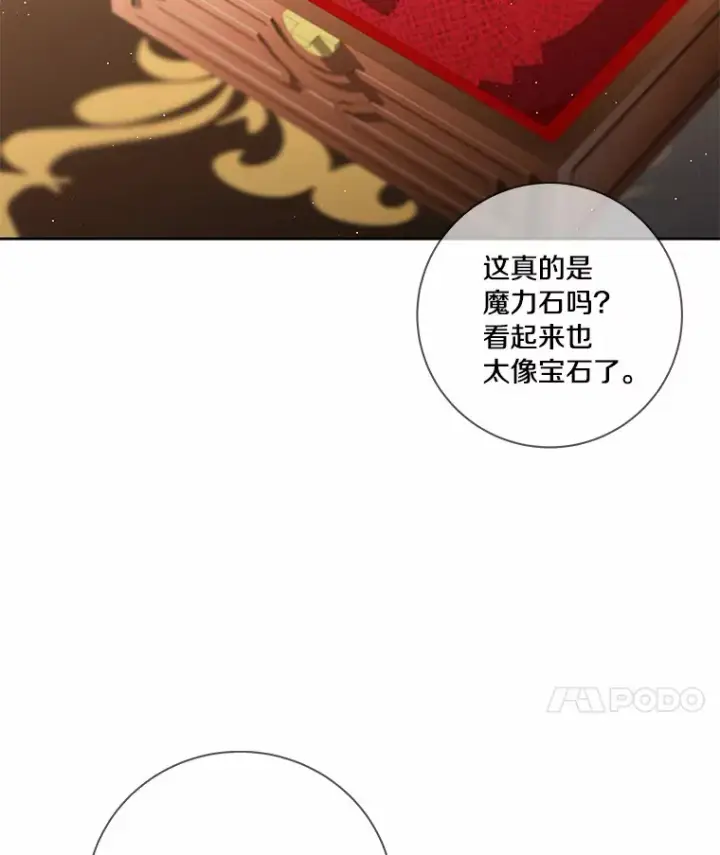 《龙套大公子妃的花路人生》55.参加茶话会图17