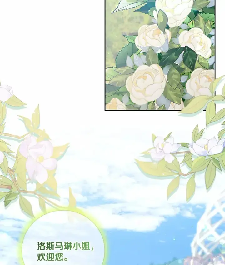 《龙套大公子妃的花路人生》55.参加茶话会图35