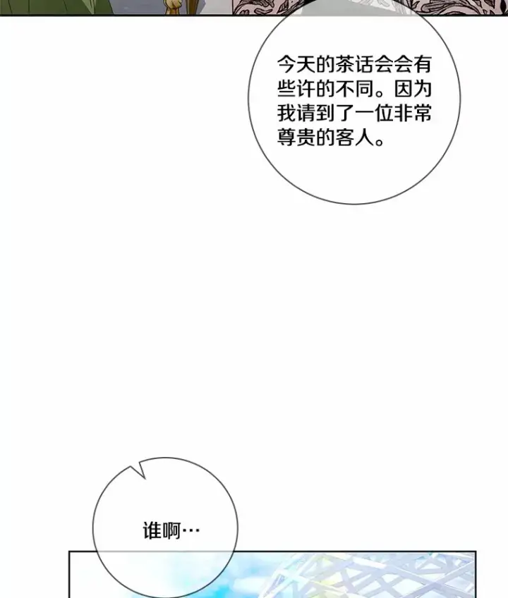 《龙套大公子妃的花路人生》55.参加茶话会图39