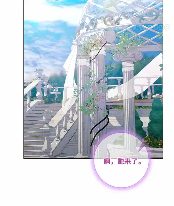 《龙套大公子妃的花路人生》55.参加茶话会图40