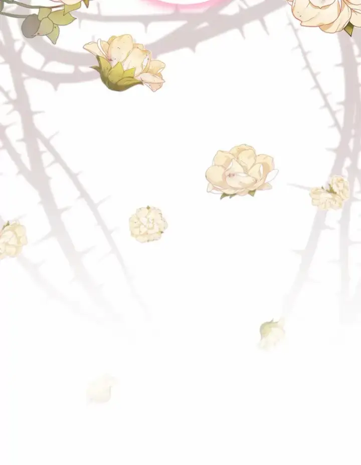 《龙套大公子妃的花路人生》56.化解危机图52