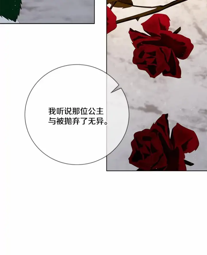 《龙套大公子妃的花路人生》58.到达伯爵领地图8