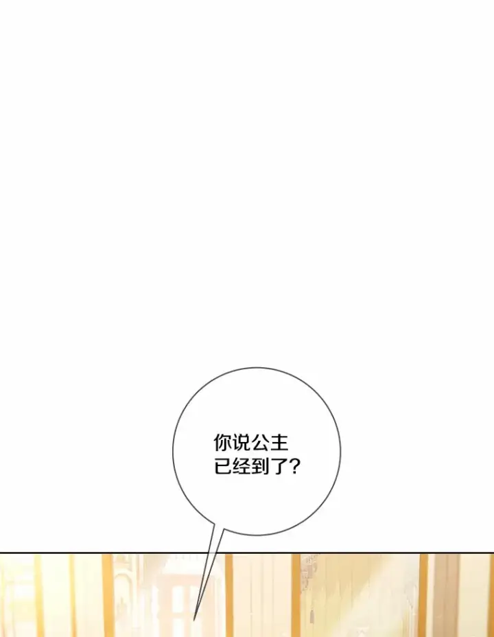 漫画《龙套大公子妃的花路人生》60.公主驾到第105张图