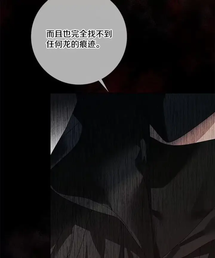 《龙套大公子妃的花路人生》63.龙复活了（本季完）图51