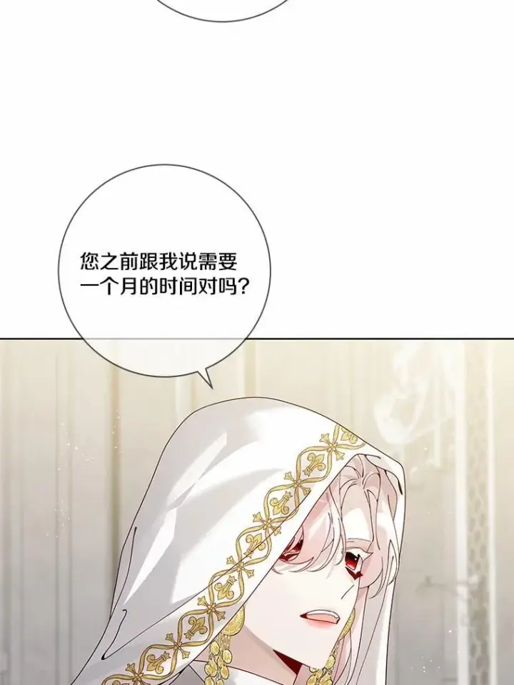 《龙套大公子妃的花路人生》63.龙复活了（本季完）图78